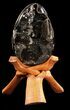 Septarian Dragon Egg Geode - Crystal Filled #37302-1